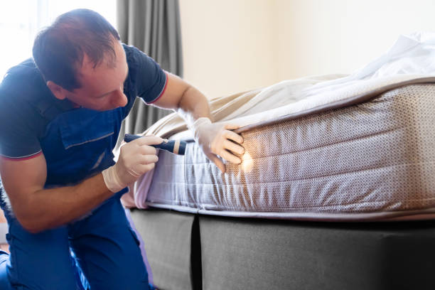 Best Fumigation Services  in Highlands, TX